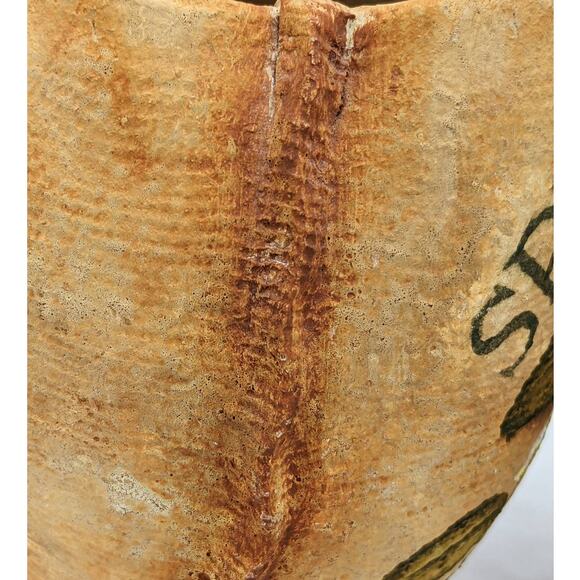 Spice Plants Jars Pair Nutmeg Myristica Moschata Black Pepper Piper Philippines - Picture 4 of 11